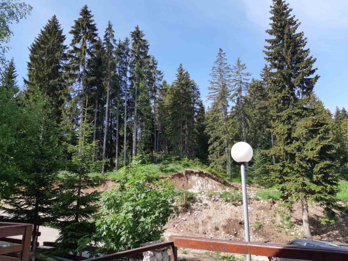 Apartments Sipcic Žabljak Екстериор снимка
