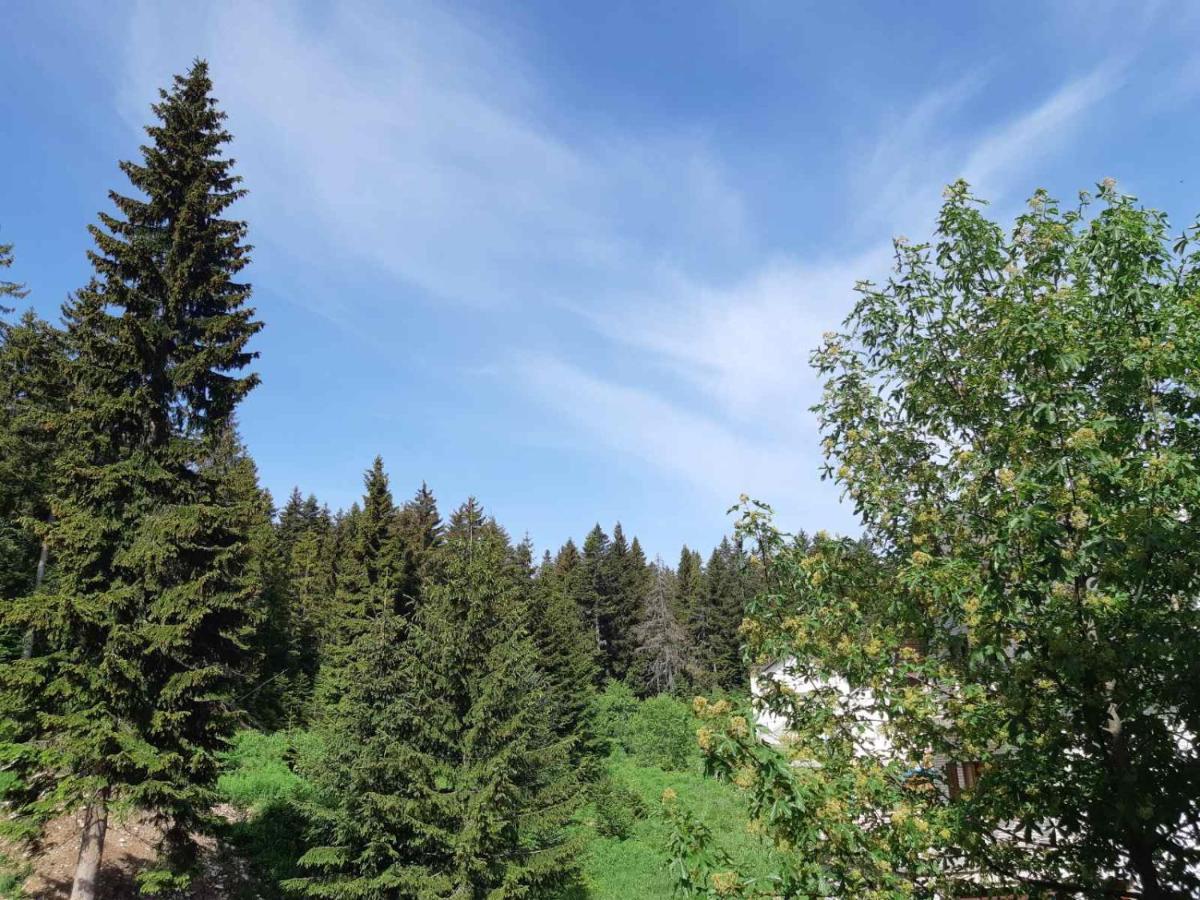 Apartments Sipcic Žabljak Екстериор снимка