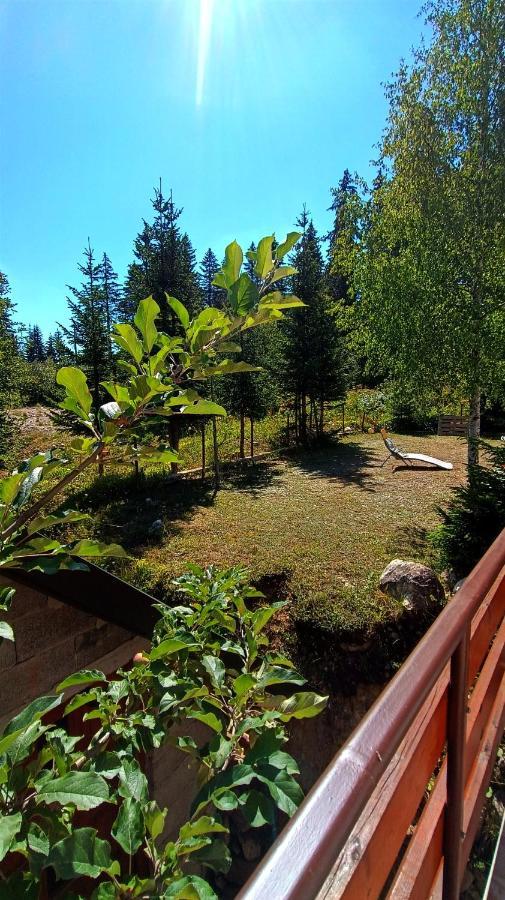 Apartments Sipcic Žabljak Екстериор снимка