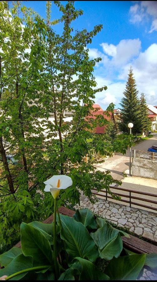 Apartments Sipcic Žabljak Екстериор снимка