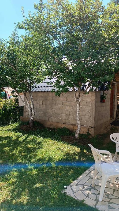 Apartments Sipcic Žabljak Екстериор снимка